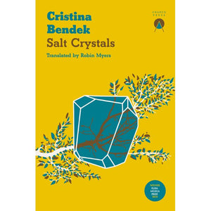 Salt Crystals by Cristina Bendek