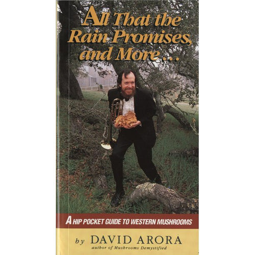 All That the Rain Promises and More... by David Arora