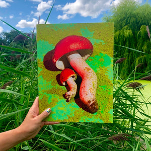 Mushrooms & Friends 1 Zine by Phyllis Ma