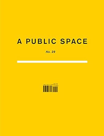 A Public Space No.29 Edited by Brigid Hughes