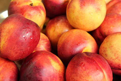 Frog Hollow Nectarines