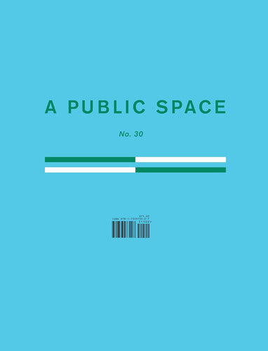 A Public Space No.30 Edited by Brigid Hughes