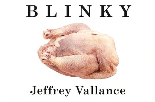 Blinky by Jeffrey Vallance