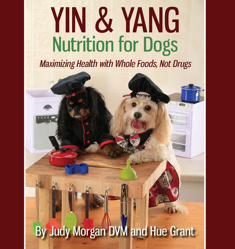 Yin & Yang Nutrition for Dogs: Maximizing Health with Whole Foods, Not Drugs by Judy Morgan DVM and Hue Grant