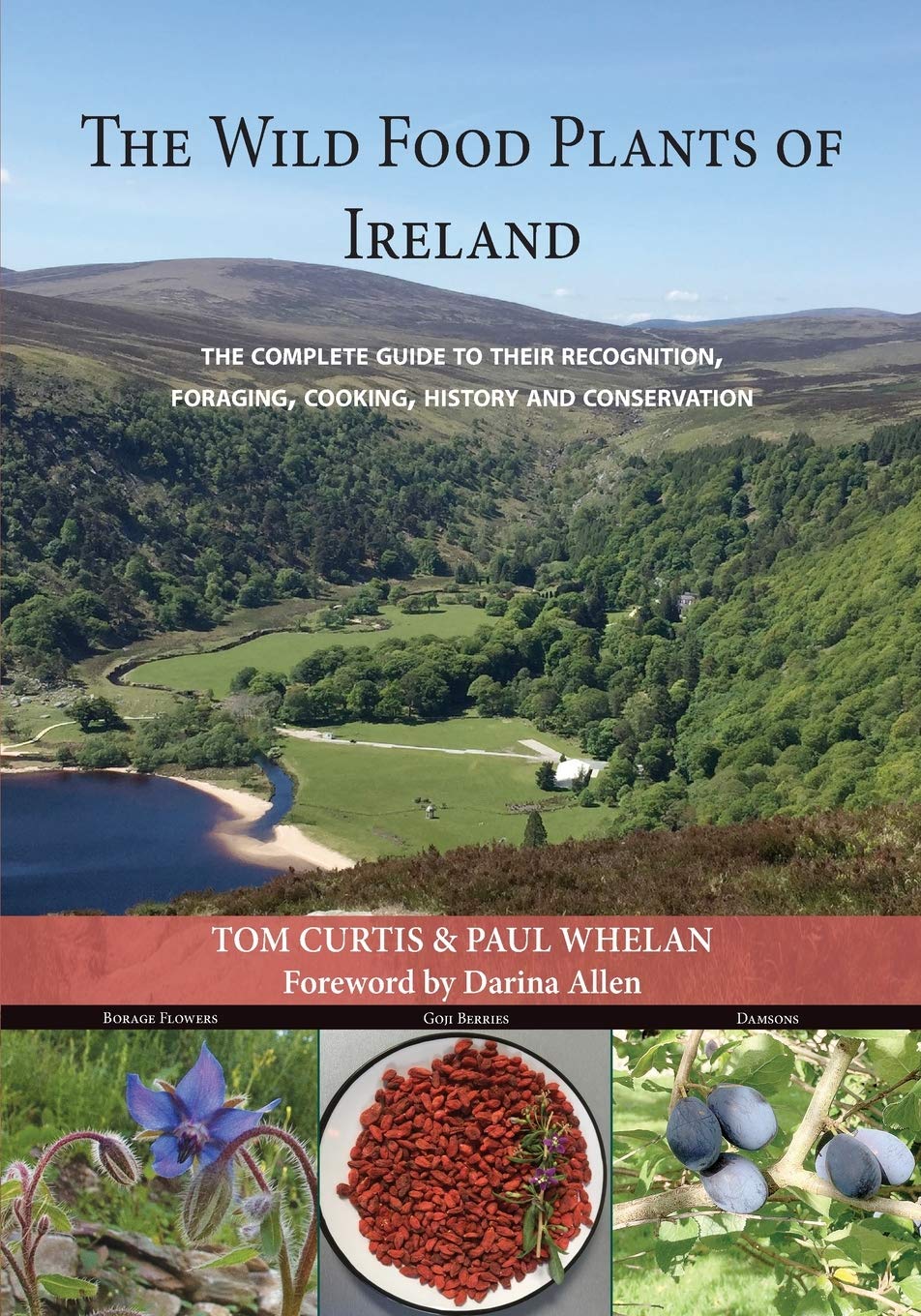 The Wild Food Plants of Ireland The Complete Guide to Their Recognition Foraging Cooking History and Conservation by Tom Curtis and Paul Whelan Foreward by Darina Allen