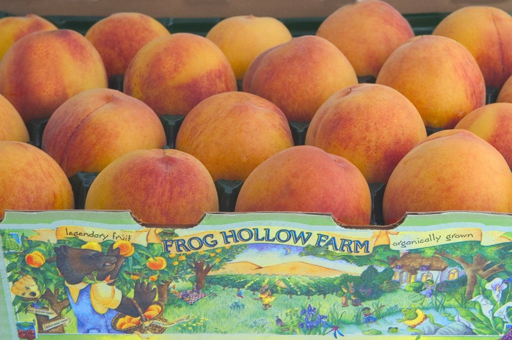 Frog Hollow Peaches
