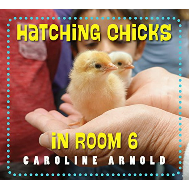 Hatching Chicks in Room 6 by Caroline Arnold