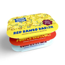 Windowsill Salad Kit: ORGANIC Red Rambo Radish