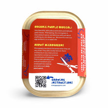 Windowsill Salad Kit: ORGANIC Purple Broccoli