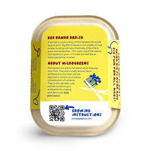 Windowsill Salad Kit: ORGANIC Red Rambo Radish