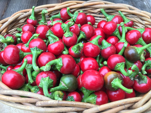 Hot Cherry Pepper / $0.50 each
