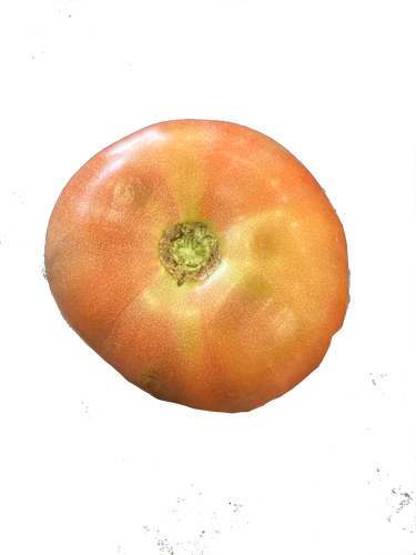 Beefsteak Tomatoes $9/lb