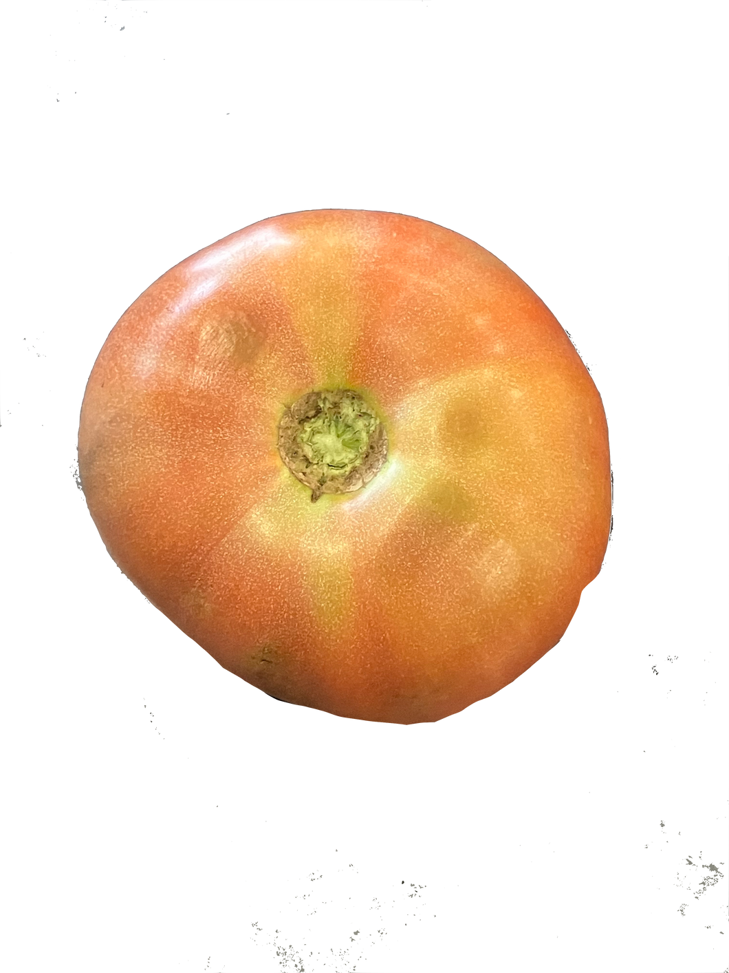 Beefsteak Tomatoes $9/lb