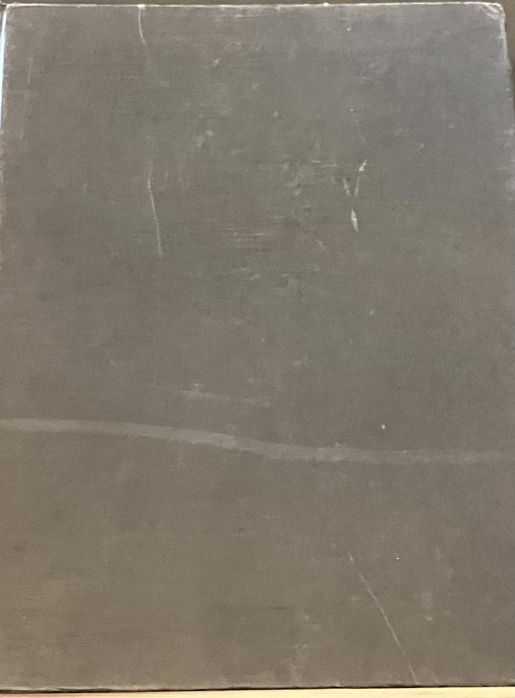 The New History of Photography by Michel Frizot