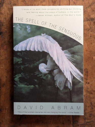The Spell of the Sensuous by David Abram