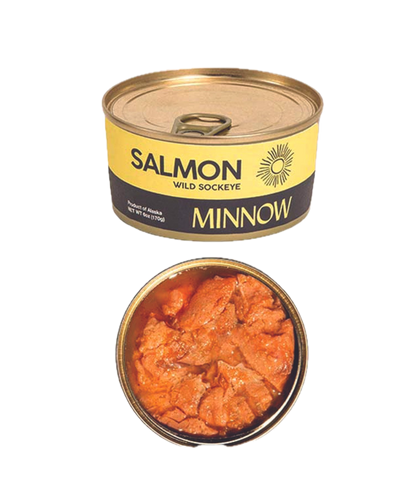 Minnow Salmon