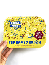 Windowsill Salad Kit: Organic Red Rambo Radish