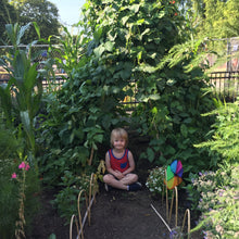 Flower Houses Gardening Kit