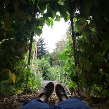 Flower Houses Gardening Kit