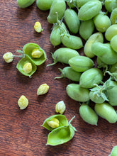 Hannah Chickpeas, Organic