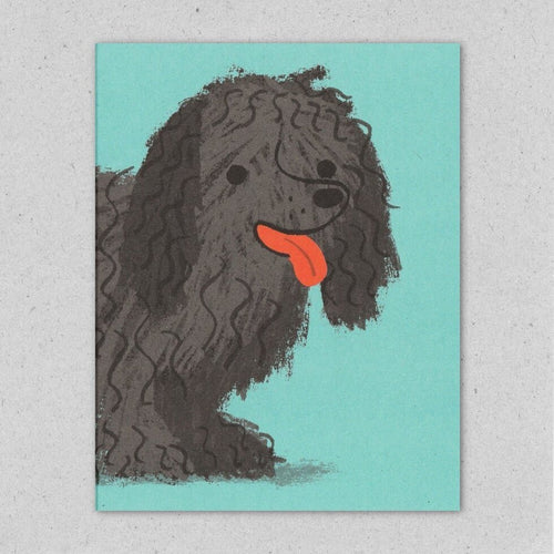 Creatures Card Shaggy Dog
