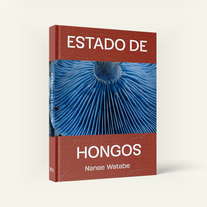 Estado de Hongos by Nanae Watabe