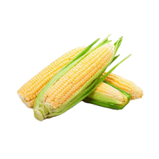 Sweet Corn/$2 per ear