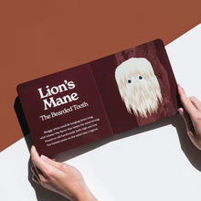 Little Books: Tasty Collection