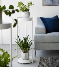 Two-Tier Rolling Plant Stand (28" H)  - Steel