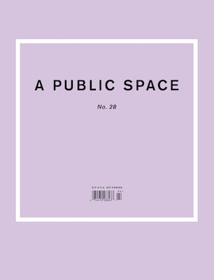 A Public Space No.28 Edited by Brigid Hughes