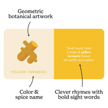 Spice Rainbow Board Book