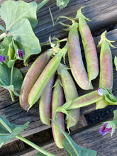 Spring Blush Snap Peas