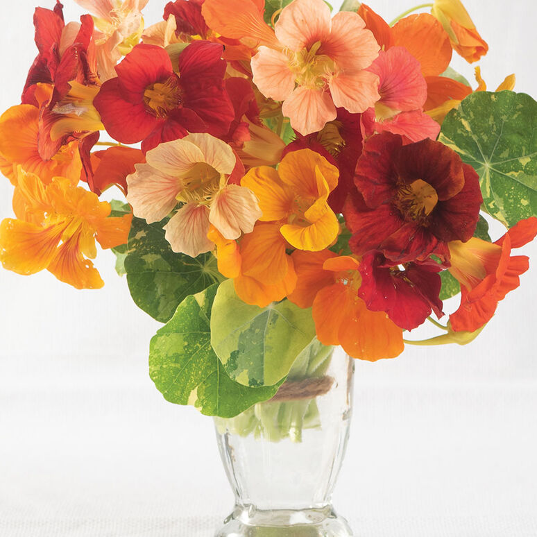 Edible flowers: How to use them in sweet, savory dishes, drinks