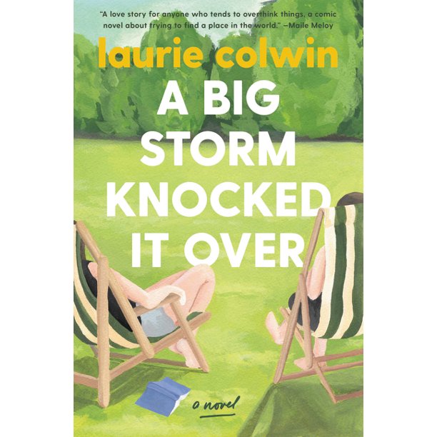 A Big Storm Knocked It Over by Laurie Colwin