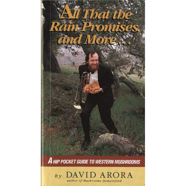 All That the Rain Promises and More... by David Arora