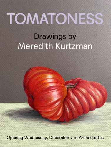 WED DEC 7 / TOMATONESS: New Drawings by Meredith Kurtzman
