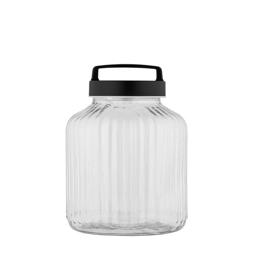 Glass Canister with Screw Lid & Handle--Medium