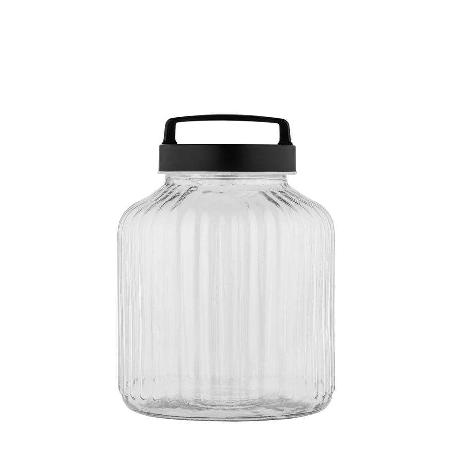 Glass Canister with Screw Lid & Handle--Medium