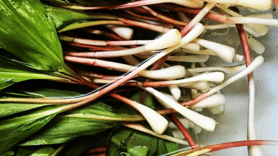 A Pound of Ramps !