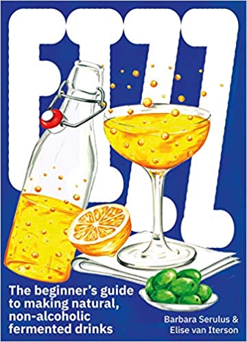Fizz The Beginner's Guide To Making Natural, Non-Alcoholic Fermented Drinks by Barbara Serulus