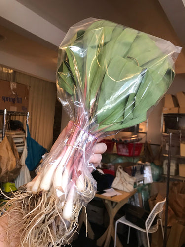 Bunch O' Ramps
