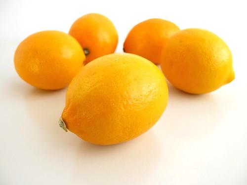 Mini Meyer Lemons