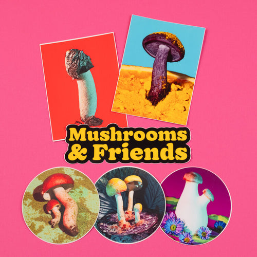 Mushrooms & Friends Stickers Phyllis Ma