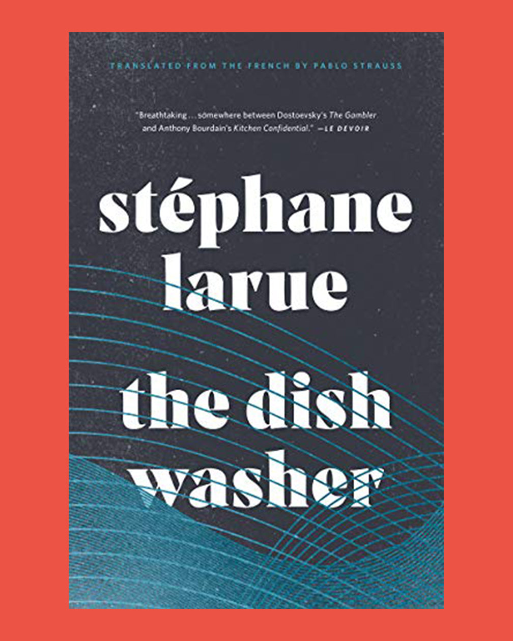 The Dish Washer by Stephane Larue